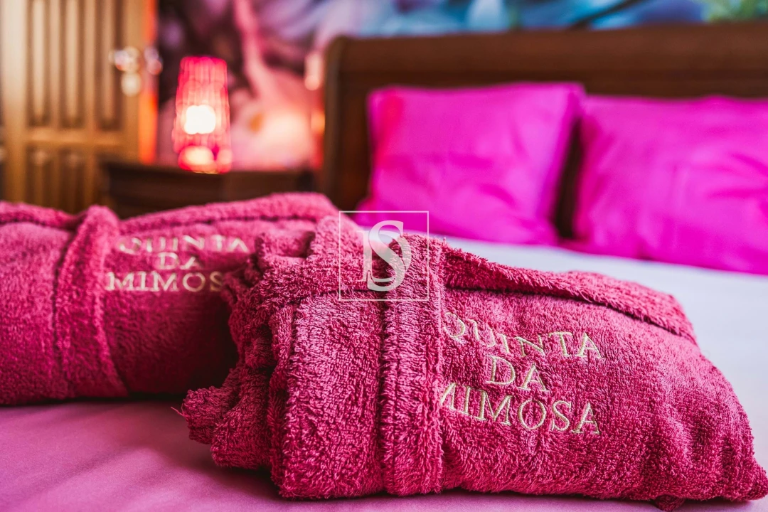 Quinta T5 para Venda em Ventosa e Cova Foto 57