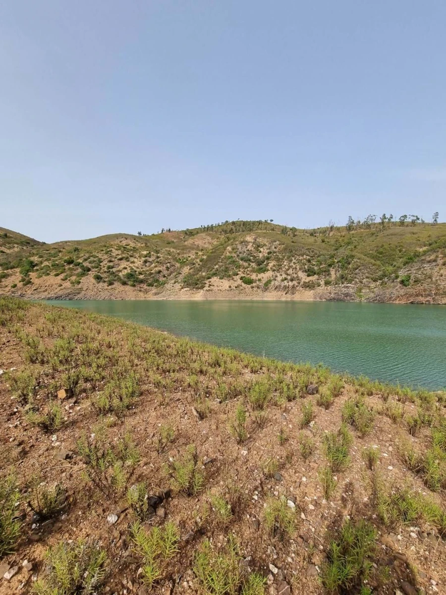 Terreno para Venda em São Silvestre Foto 1