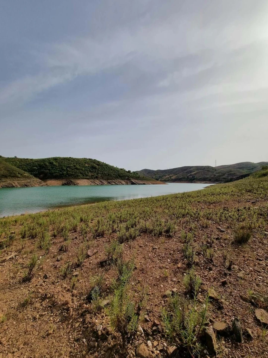 Terreno para Venda em São Silvestre Foto 5
