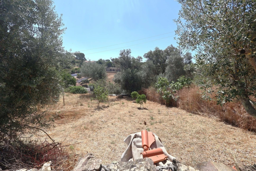 Moradia T2 para Venda em São Barnabe Foto 25