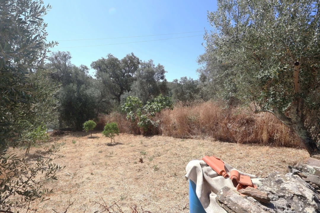 Moradia T2 para Venda em São Barnabe Foto 26