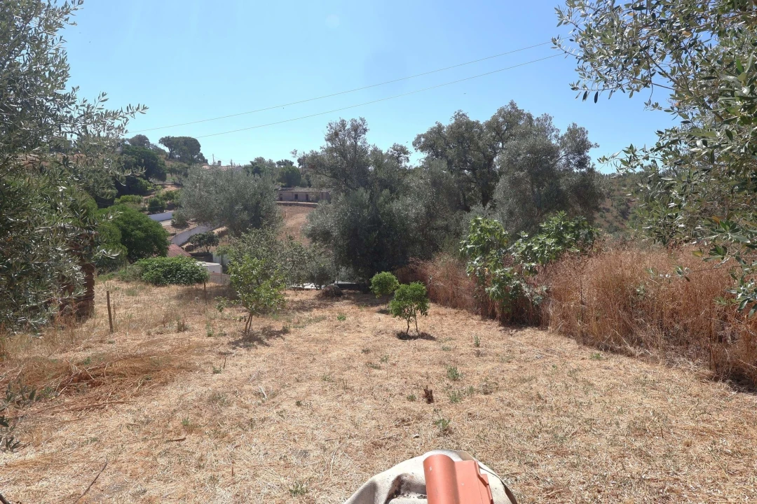 Moradia T2 para Venda em São Barnabe Foto 28