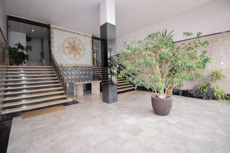 Apartamento T3 para Arrendamento em Alvalade Foto 22