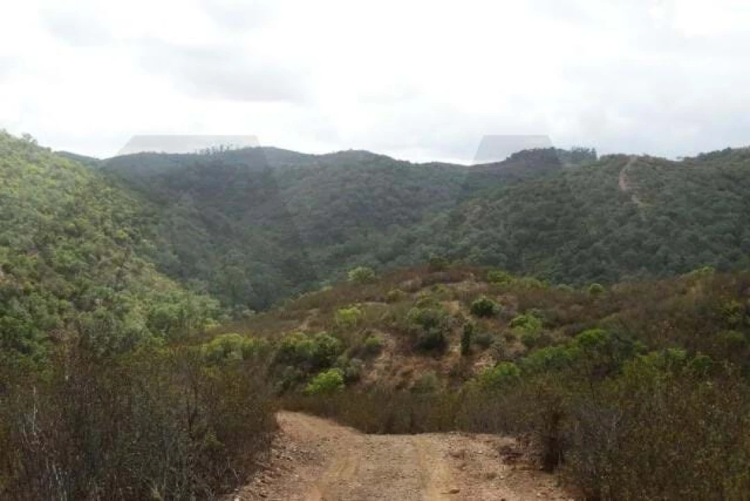 Terreno para Venda em Santana da Serra Foto 5