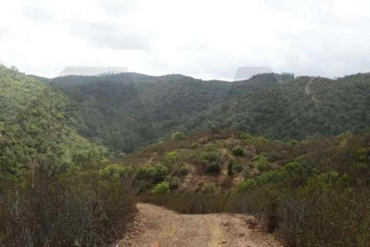 Terreno para Venda em Santana da Serra Foto 5