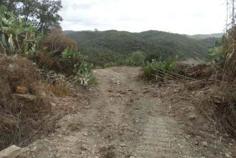 Terreno para Venda em Santana da Serra Foto 6