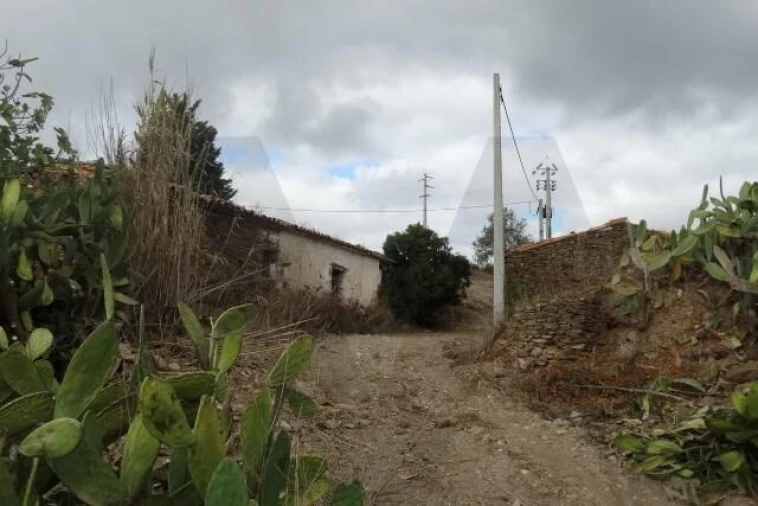 Terreno para Venda em Santana da Serra Foto 3