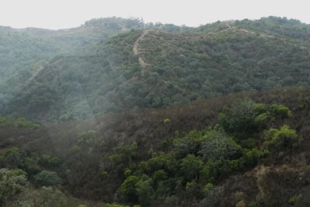 Terreno para Venda em Santana da Serra Foto 14