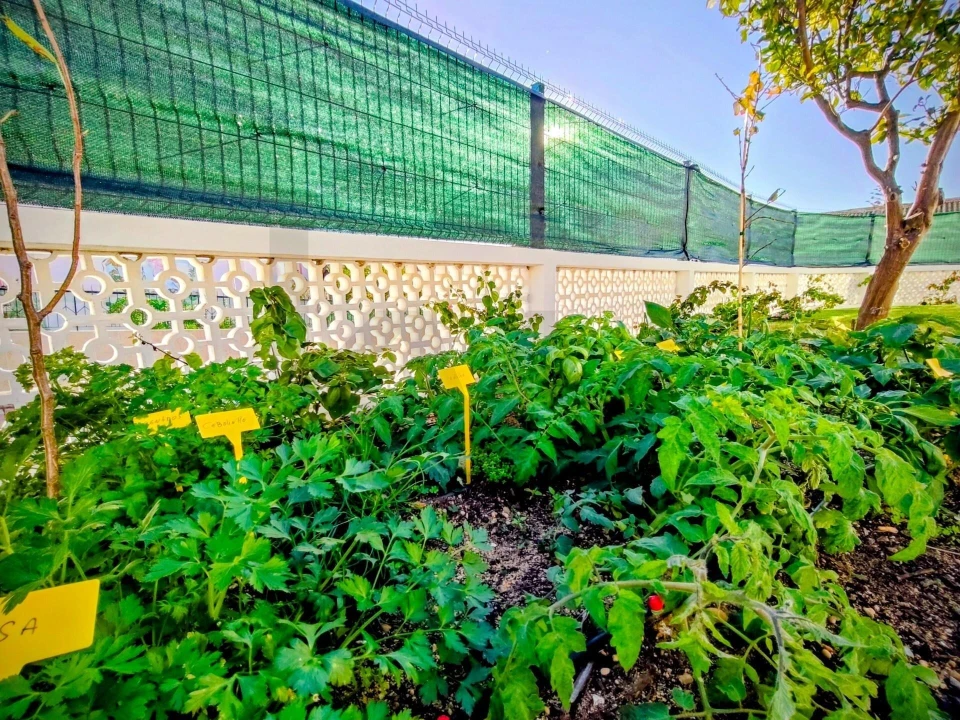 Moradia T4 para Venda em Quelfes Foto 31