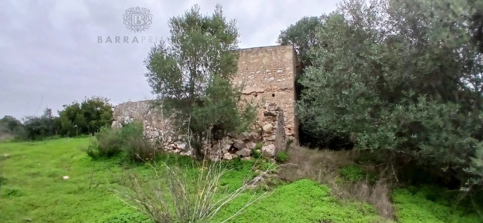 Terreno Misto para Venda em Pechão Foto 2
