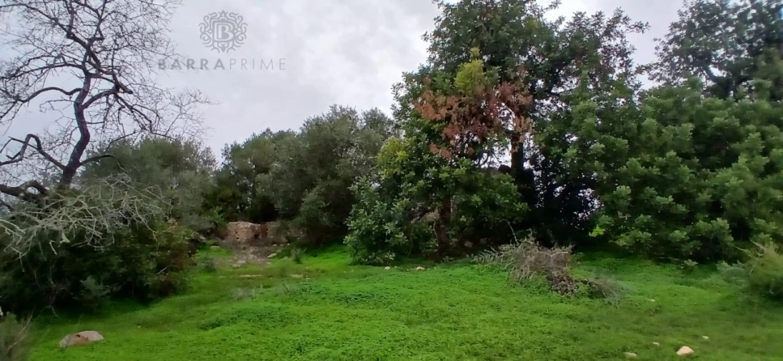 Terreno Misto para Venda em Pechão