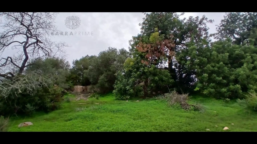 Terreno Misto para Venda em Pechão