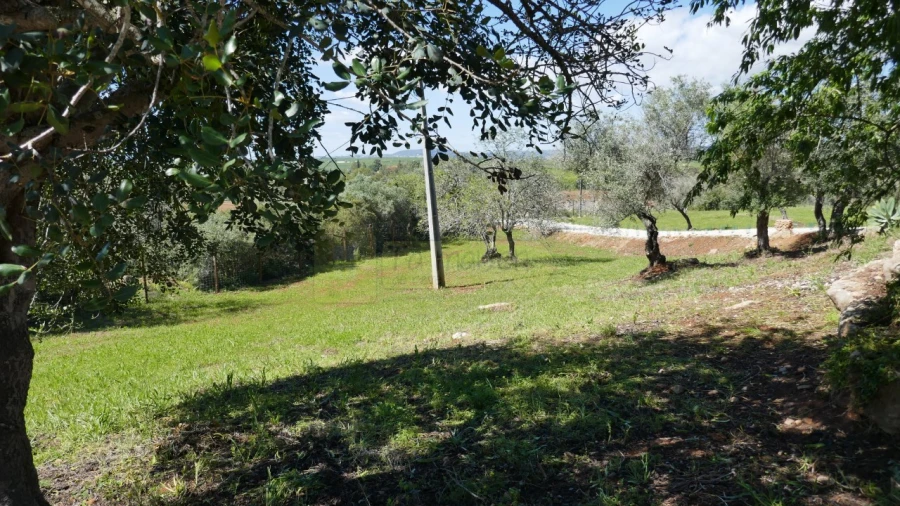 Moradia T2 para Venda em Algoz e Tunes Foto 48