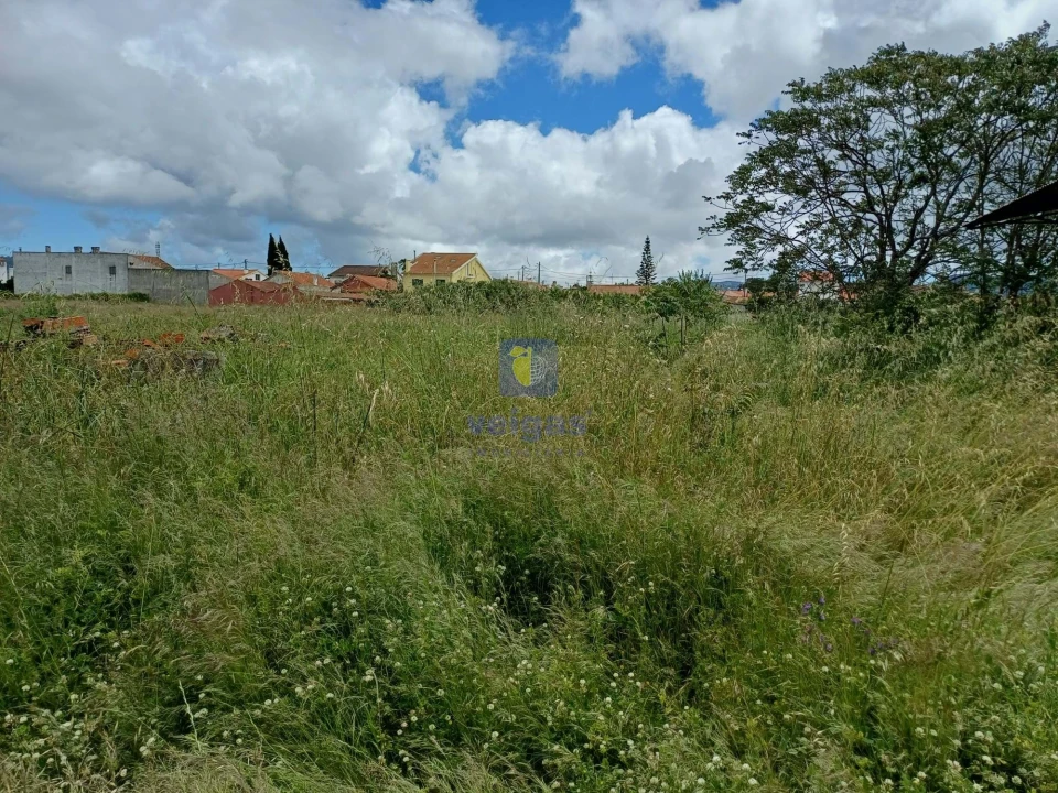 Terreno Agricola ou Rústico para Venda em Azeitão (São Lourenço e São Simão) Foto 2