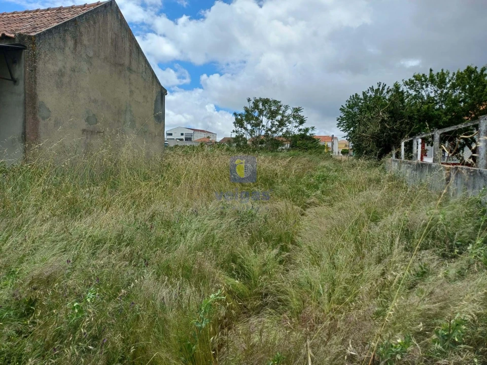 Terreno Agricola ou Rústico para Venda em Azeitão (São Lourenço e São Simão) Foto 5