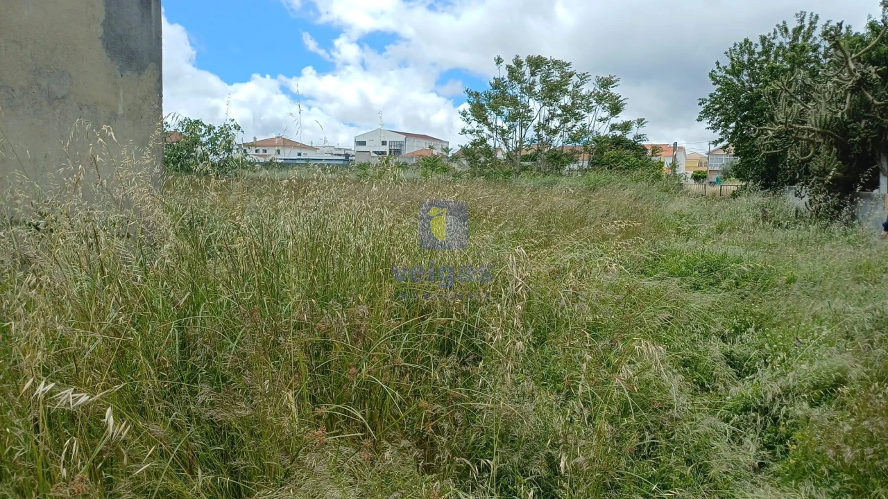 Terreno Agricola ou Rústico para Venda em Azeitão (São Lourenço e São Simão) Foto 9