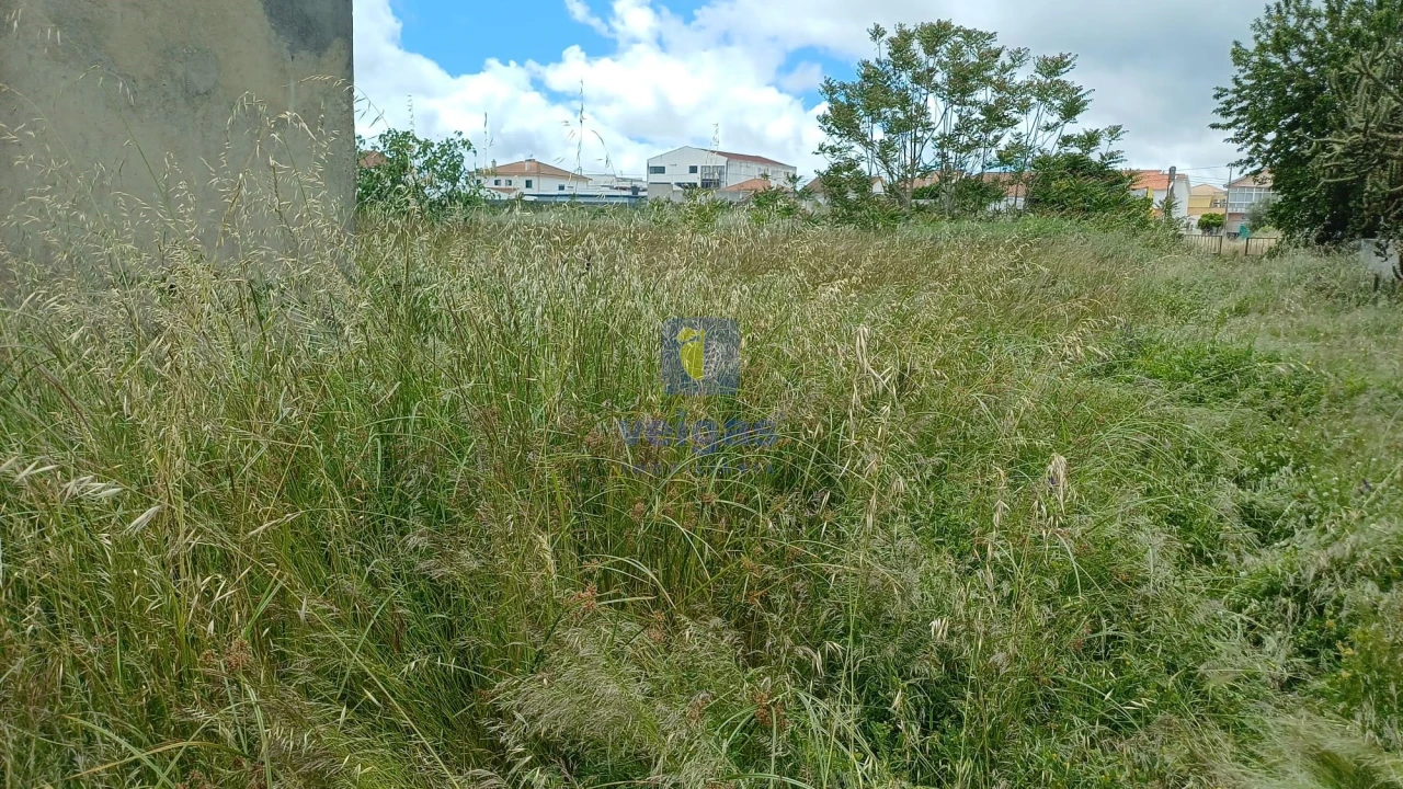 Terreno Agricola ou Rústico para Venda em Azeitão (São Lourenço e São Simão) Foto 11