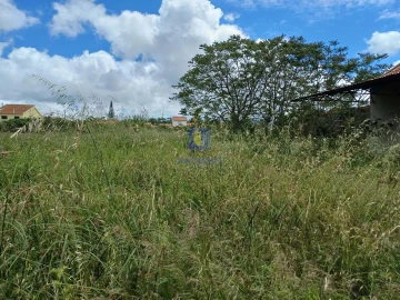 Terreno Agricola ou Rústico para Venda em Azeitão (São Lourenço e São Simão)