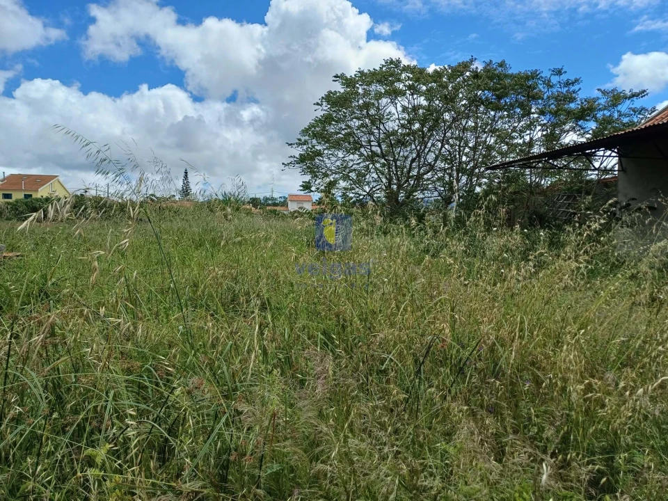 Terreno Agricola ou Rústico para Venda em Azeitão (São Lourenço e São Simão) Foto 12