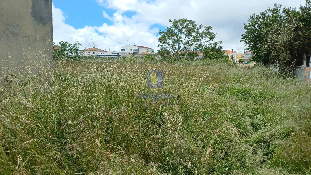 Terreno Agricola ou Rústico para Venda em Azeitão (São Lourenço e São Simão) Foto 14