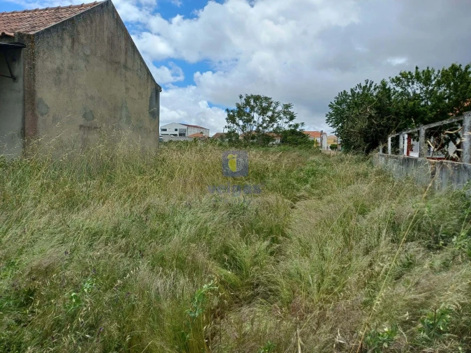 Terreno Agricola ou Rústico para Venda em Azeitão (São Lourenço e São Simão) Foto 5