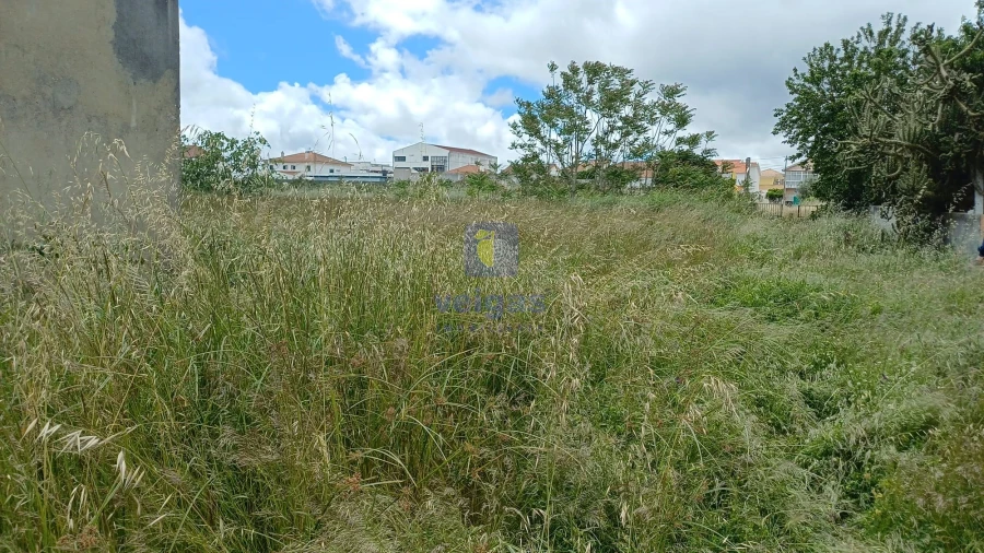 Terreno Agricola ou Rústico para Venda em Azeitão (São Lourenço e São Simão) Foto 9