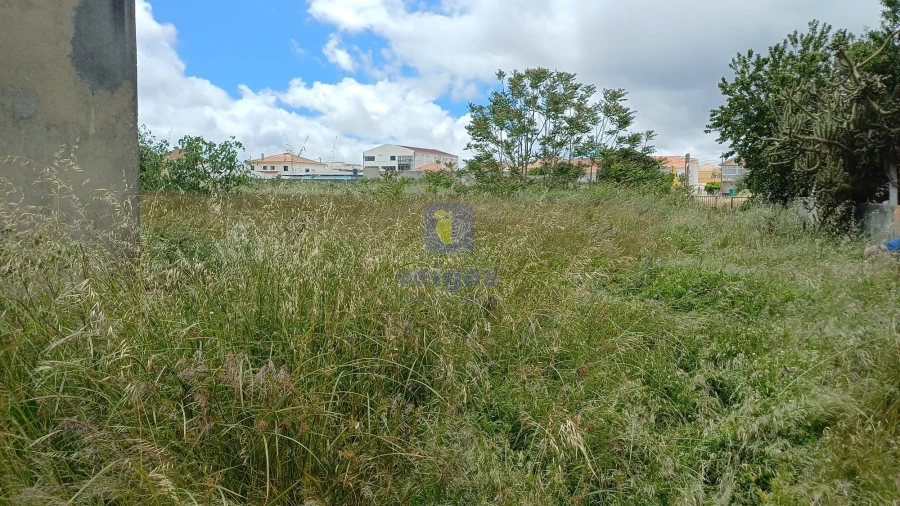 Terreno Agricola ou Rústico para Venda em Azeitão (São Lourenço e São Simão) Foto 3
