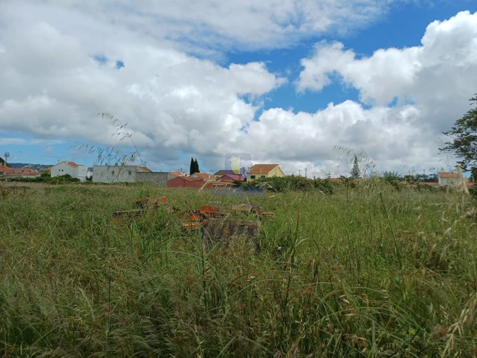 Terreno Agricola ou Rústico para Venda em Azeitão (São Lourenço e São Simão) Foto 10