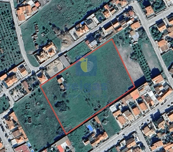 Terreno Agricola ou Rústico para Venda em Azeitão (São Lourenço e São Simão) Foto 2