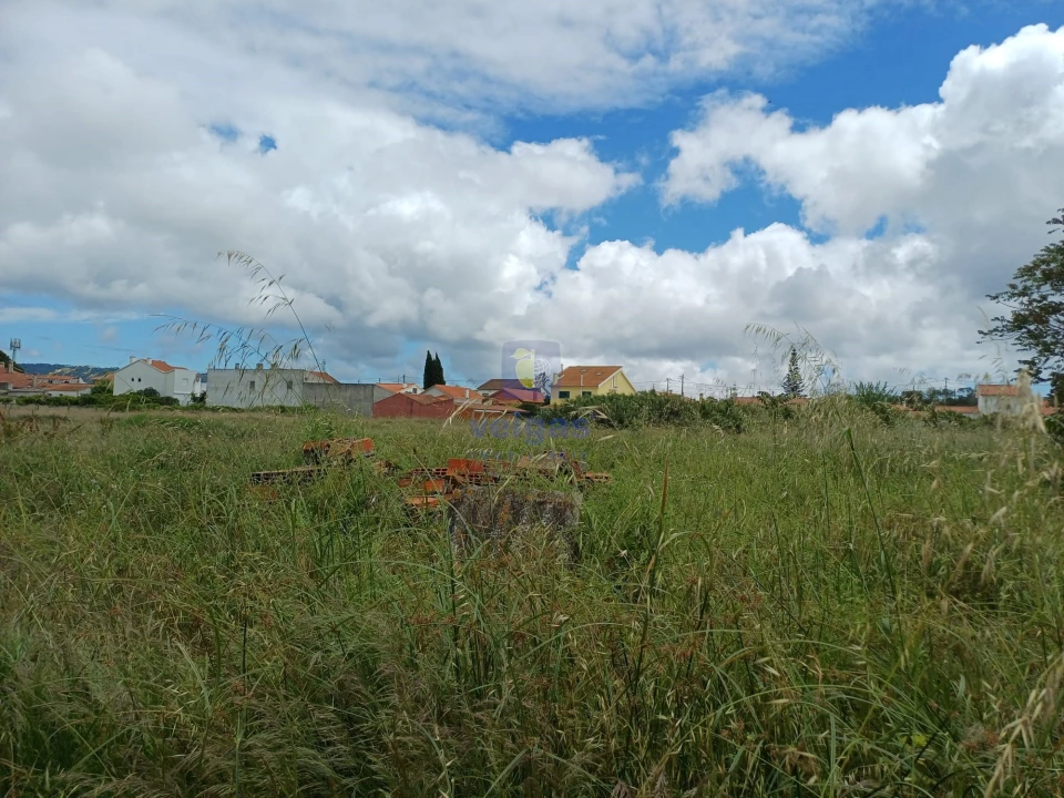 Terreno Agricola ou Rústico para Venda em Azeitão (São Lourenço e São Simão) Foto 10