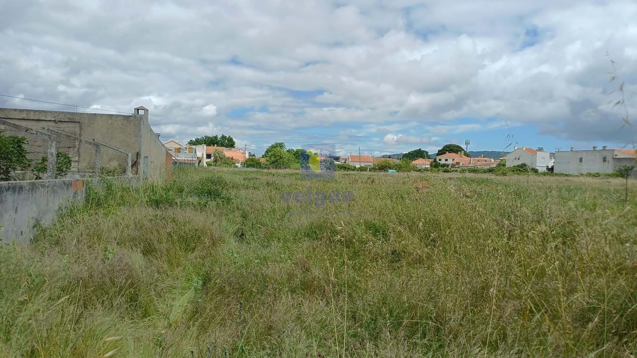 Terreno Agricola ou Rústico para Venda em Azeitão (São Lourenço e São Simão) Foto 6