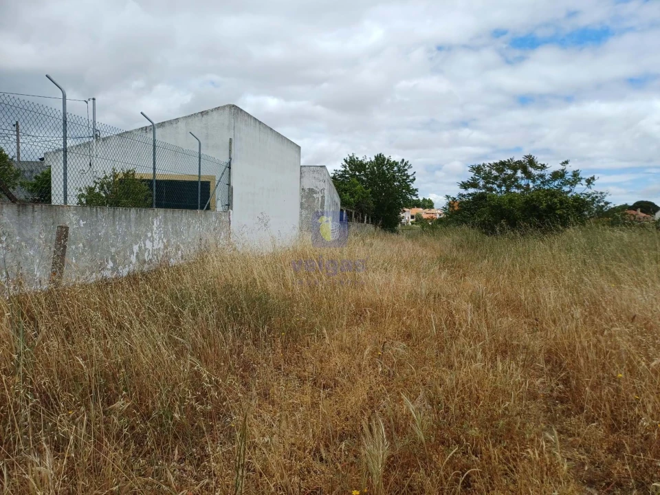 Terreno Agricola ou Rústico para Venda em Azeitão (São Lourenço e São Simão) Foto 13