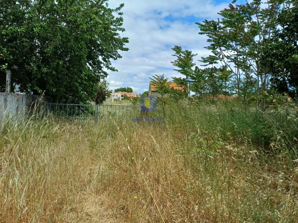 Terreno Agricola ou Rústico para Venda em Azeitão (São Lourenço e São Simão) Foto 1