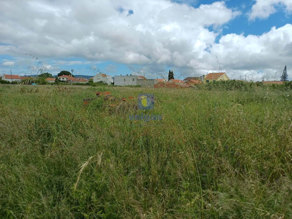 Terreno Agricola ou Rústico para Venda em Azeitão (São Lourenço e São Simão) Foto 8