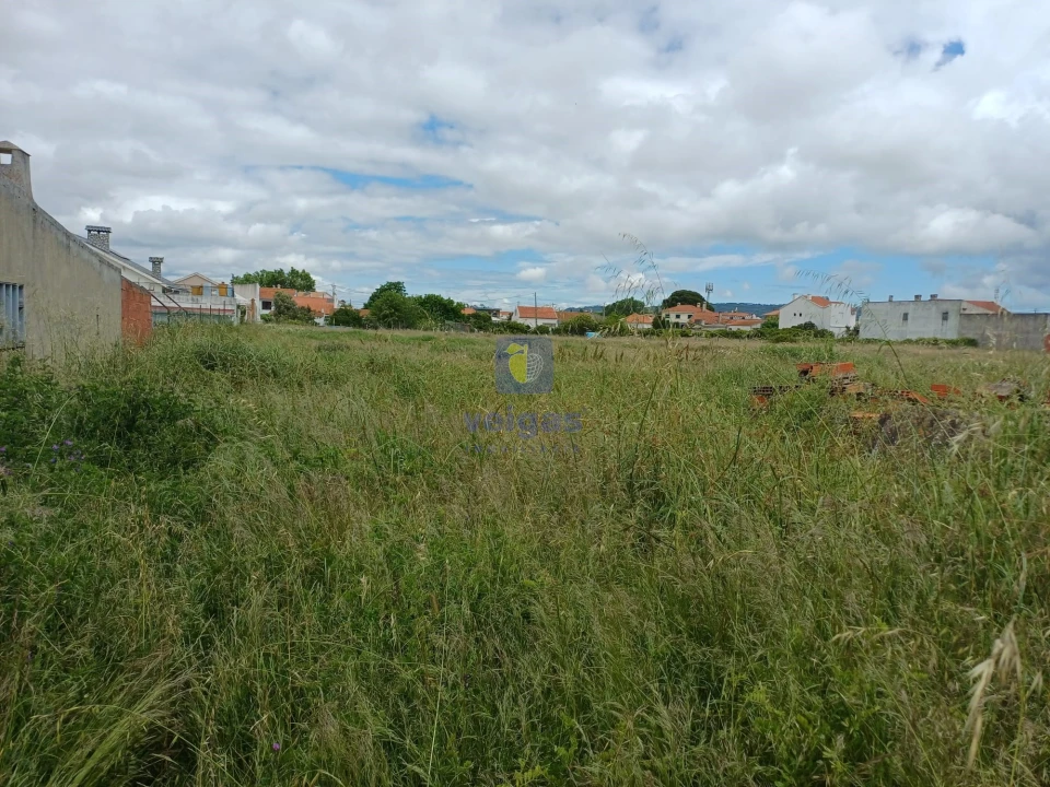 Terreno Agricola ou Rústico para Venda em Azeitão (São Lourenço e São Simão) Foto 4