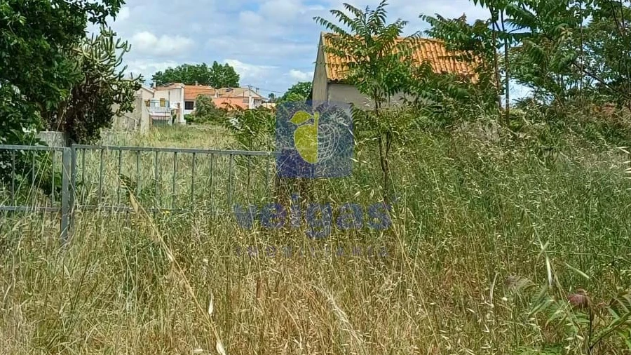 Terreno Agricola ou Rústico para Venda em Azeitão (São Lourenço e São Simão)