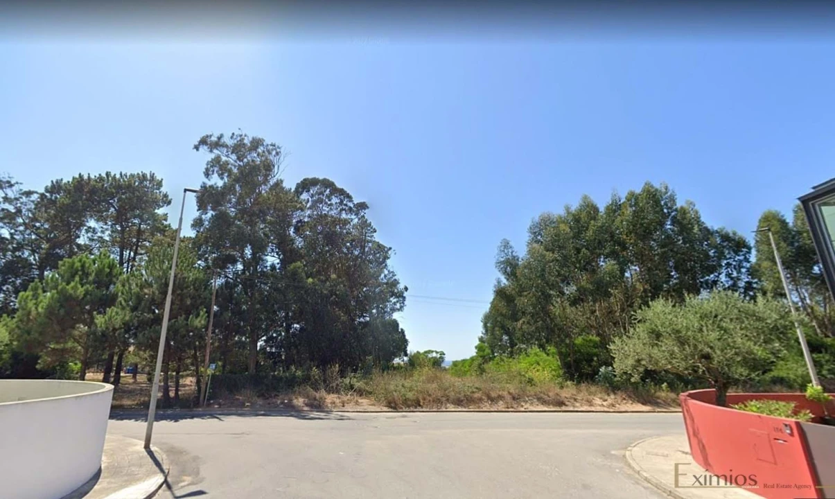 Terreno para Venda em Arvore Foto 2