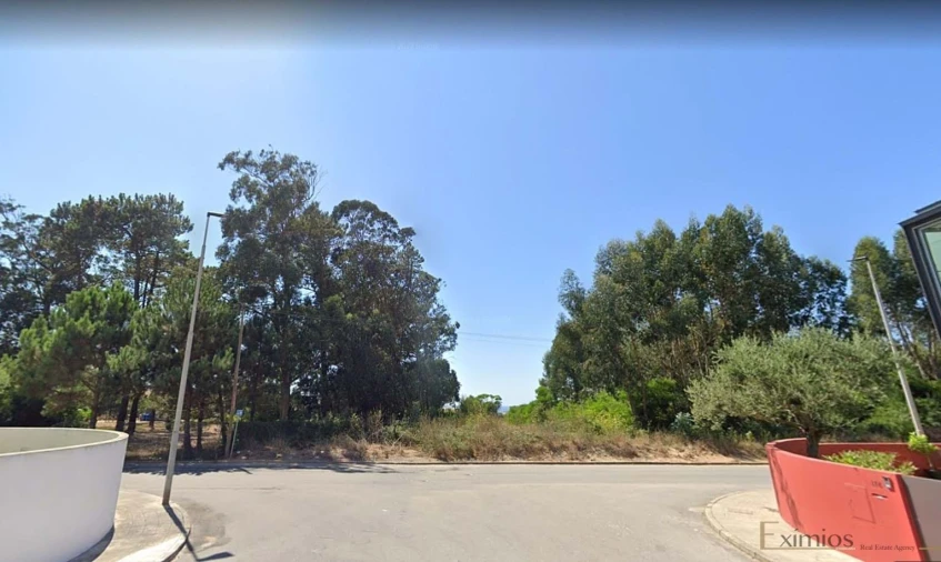 Terreno para Venda em Arvore Foto 2