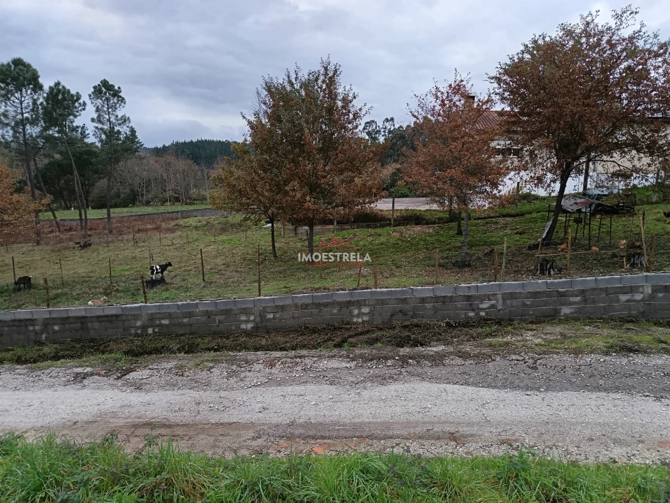 Terreno para Venda em Mortágua, Vale de Remígio, Cortegaça e Almaça Foto 7