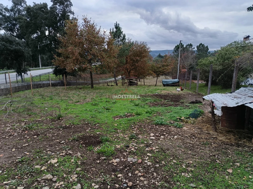 Terreno para Venda em Mortágua, Vale de Remígio, Cortegaça e Almaça Foto 5