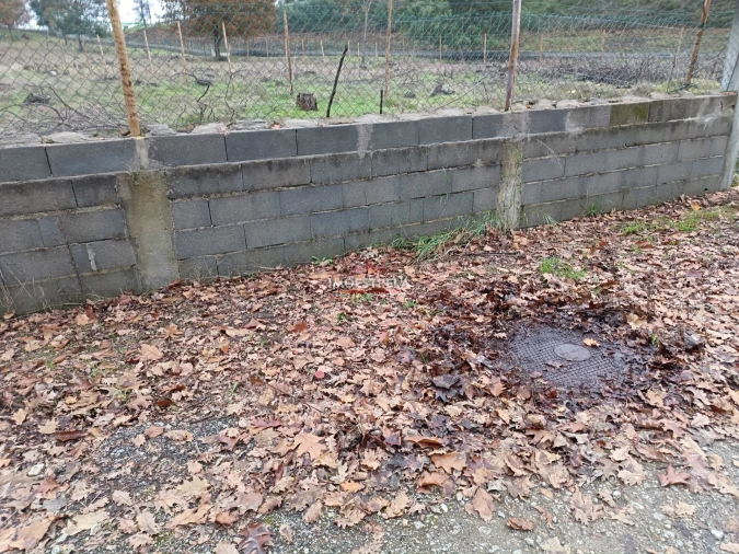 Terreno para Venda em Mortágua, Vale de Remígio, Cortegaça e Almaça Foto 13