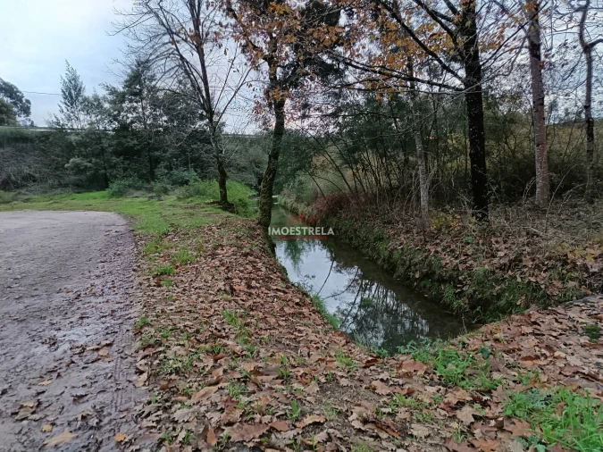 Terreno para Venda em Mortágua, Vale de Remígio, Cortegaça e Almaça Foto 11