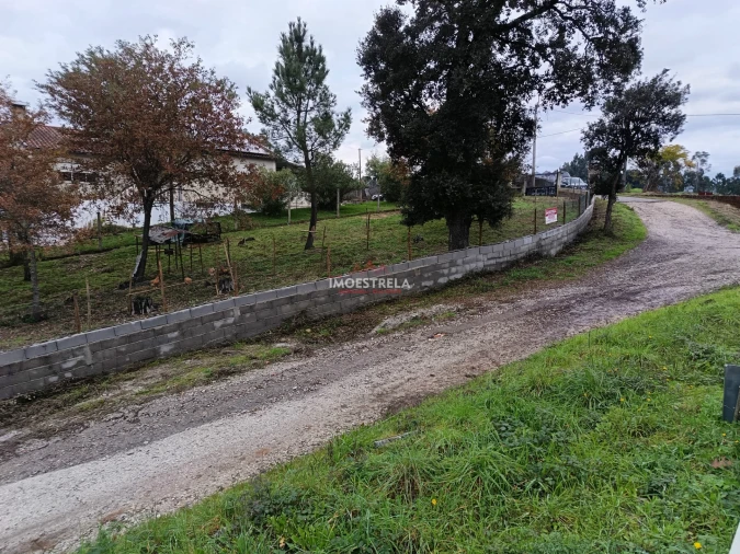 Terreno para Venda em Mortágua, Vale de Remígio, Cortegaça e Almaça Foto 8