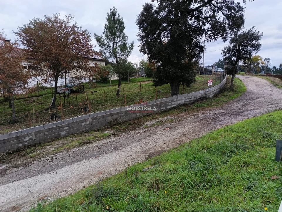 Terreno para Venda em Mortágua, Vale de Remígio, Cortegaça e Almaça Foto 8
