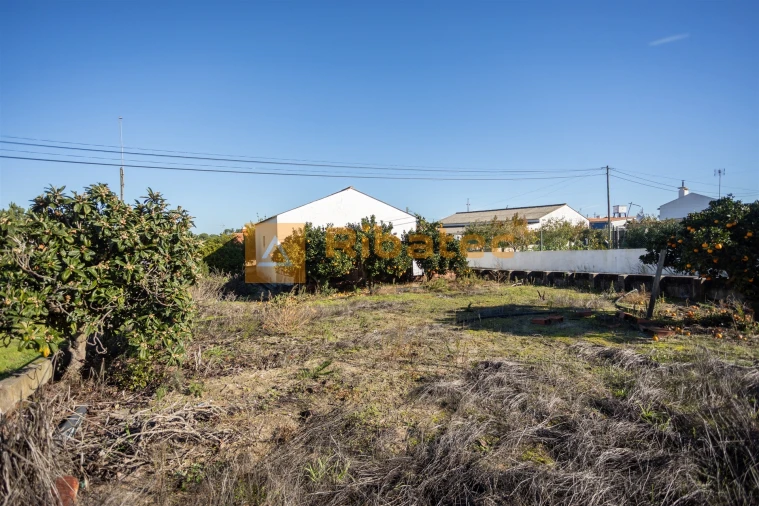Armazém para Venda em Coruche, Fajarda e Erra Foto 8
