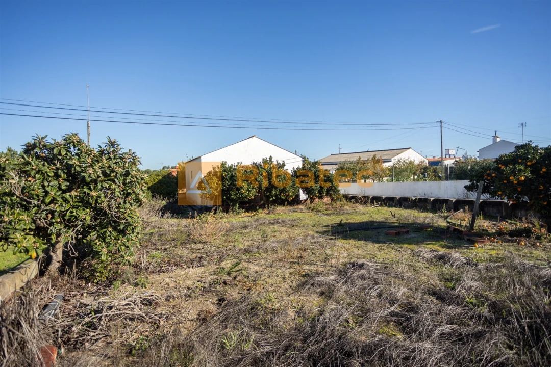 Armazém para Venda em Coruche, Fajarda e Erra Foto 8