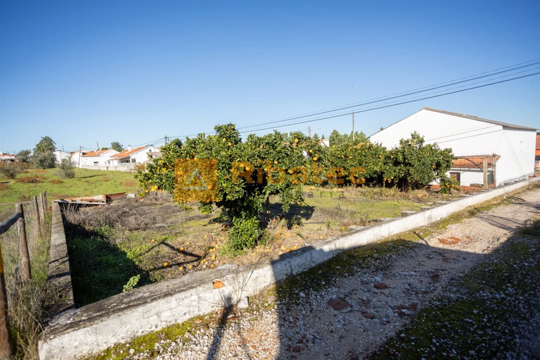 Armazém para Venda em Coruche, Fajarda e Erra Foto 5
