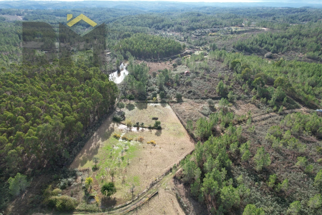 Terreno Agricola ou Rústico para Venda em Sarzedas Foto 10