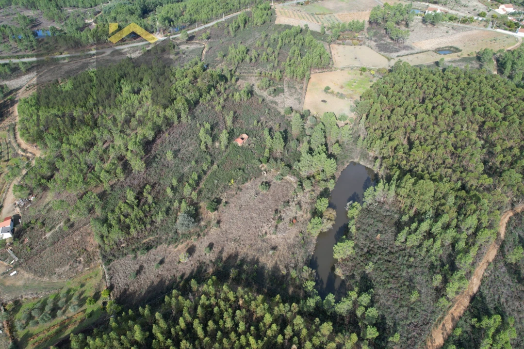 Terreno Agricola ou Rústico para Venda em Sarzedas Foto 4