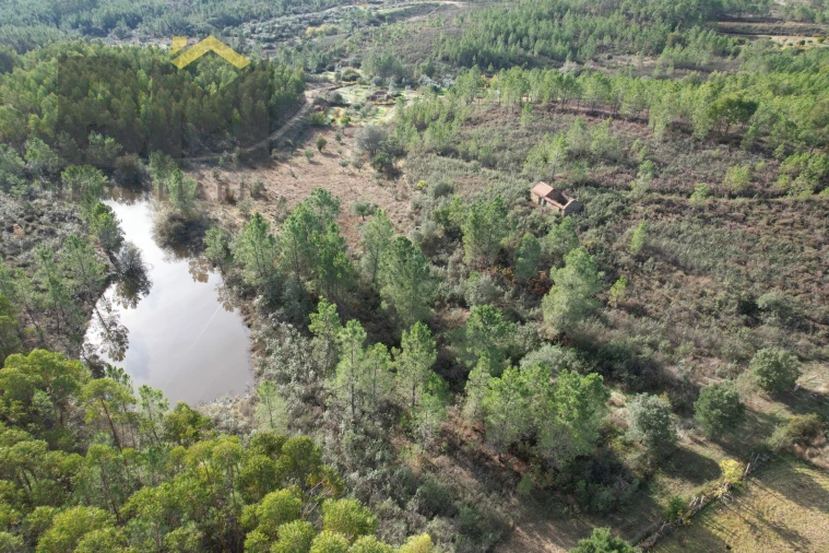 Terreno Agricola ou Rústico para Venda em Sarzedas Foto 3